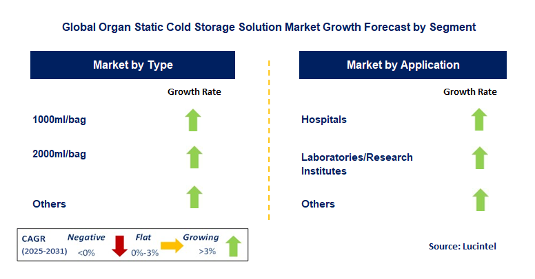 Organ Static Cold Storage Solution Market by Segment
