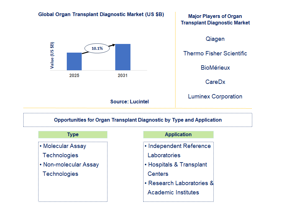 Organ Transplant Diagnostic Market Trends and Forecast