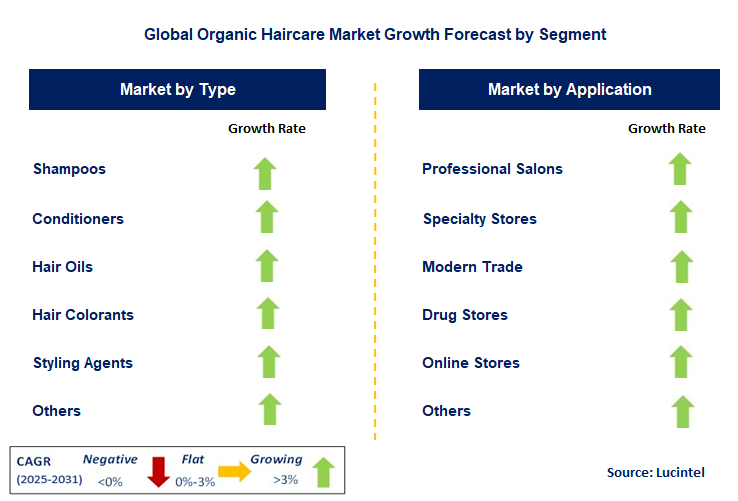 Organic Haircare Market by Segment
