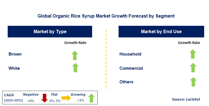 Organic Rice Syrup Market by Segment