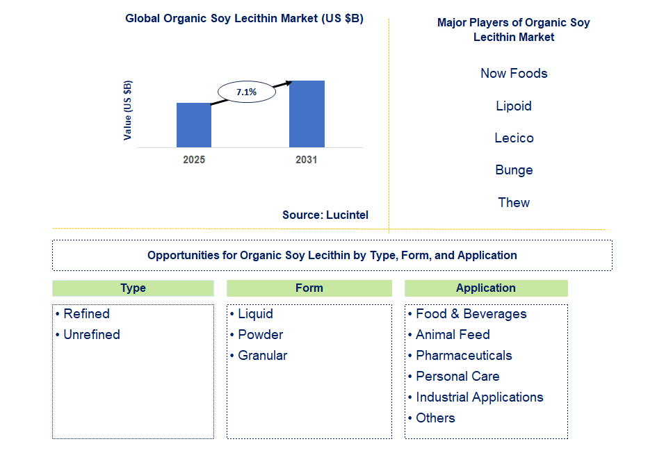 Organic Soy Lecithin Market Trends and Forecast