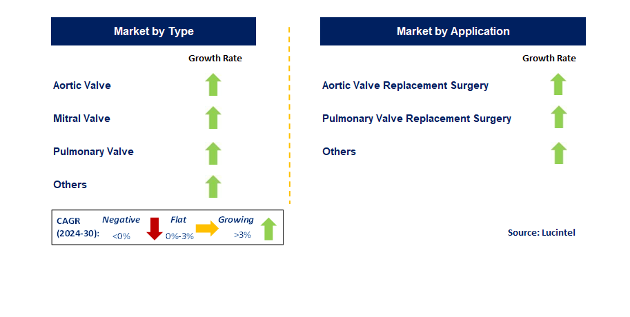 Organic Valve Bioprosthesis by Segment