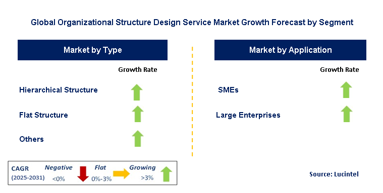 Organizational Structure Design Service Market by Segment