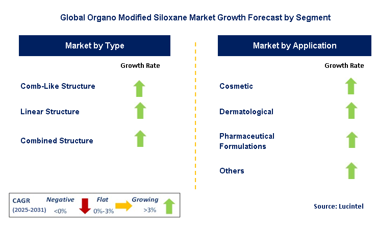Organo Modified Siloxane Market by Segment
