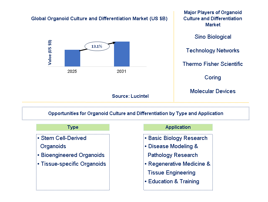 Organoid Culture and Differentiation Market Trends and Forecast