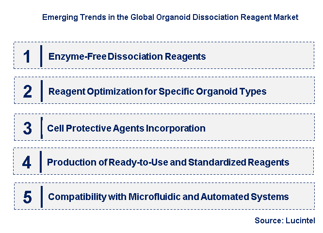 Emerging Trends in the Organoid Dissociation Reagent Market