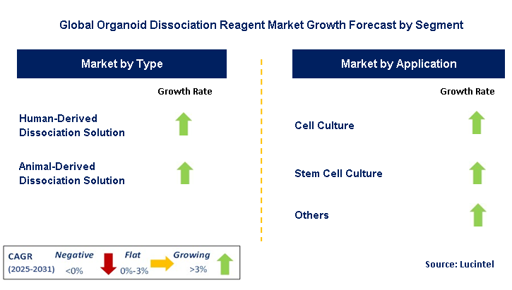 Organoid Dissociation Reagent Market by Segment