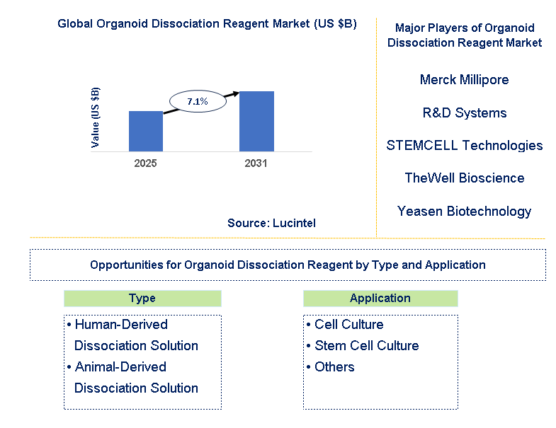Organoid Dissociation Reagent Market Trends and Forecast
