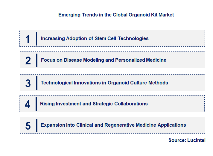 Emerging Trends in the Organoid Kit Market