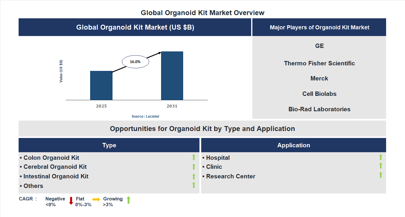 Organoid Kit Market Trends and Forecast