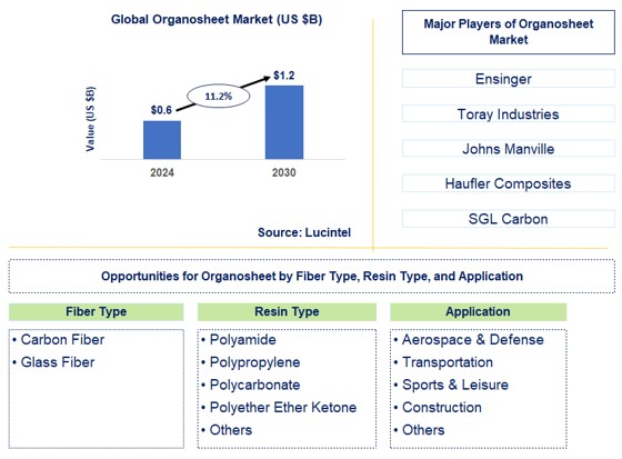 Organosheet Trends and Forecast Organosheet Trends and Forecast