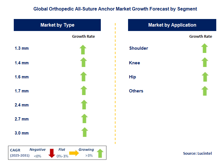 Orthopedic All-Suture Anchor Market by Segment