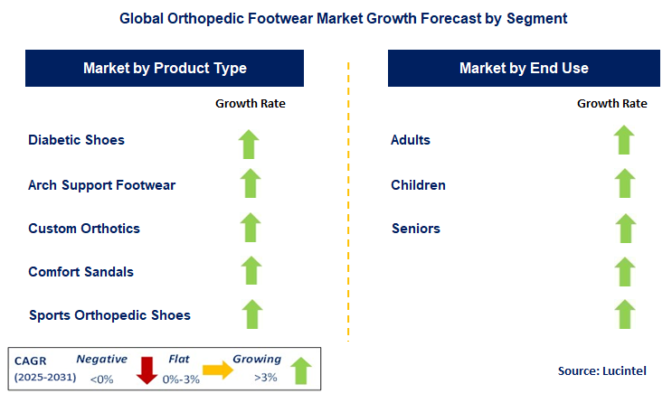 Orthopedic Footwear Market by Segment