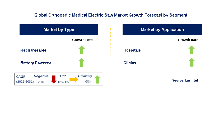 Orthopedic Medical Electric Saw Market by Segment