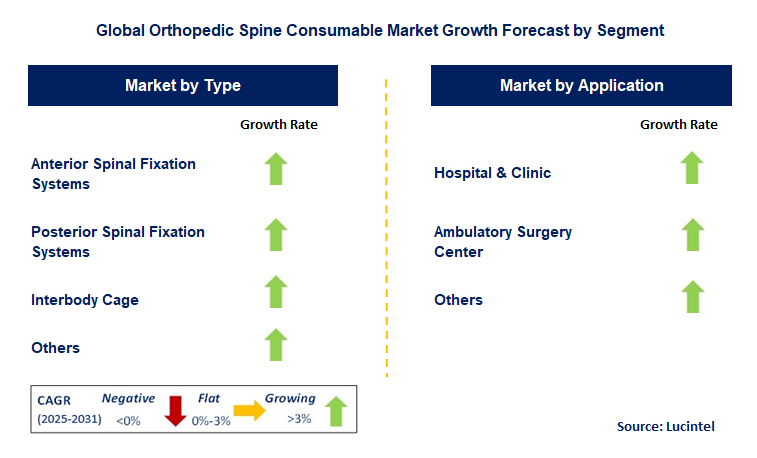 Orthopedic Spine Consumable Market by Segment