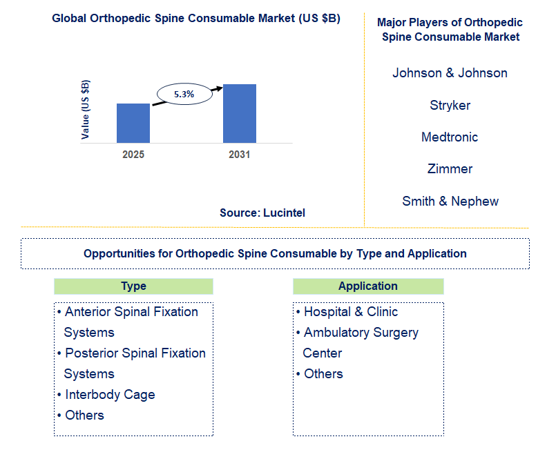 Orthopedic Spine Consumable Market Trends and Forecast