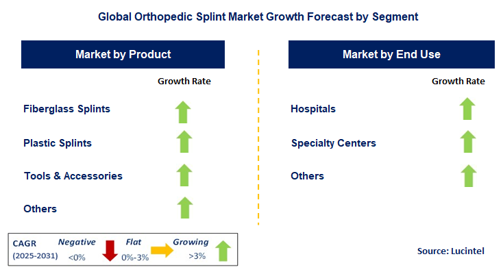 Orthopedic Splint Market by Segment