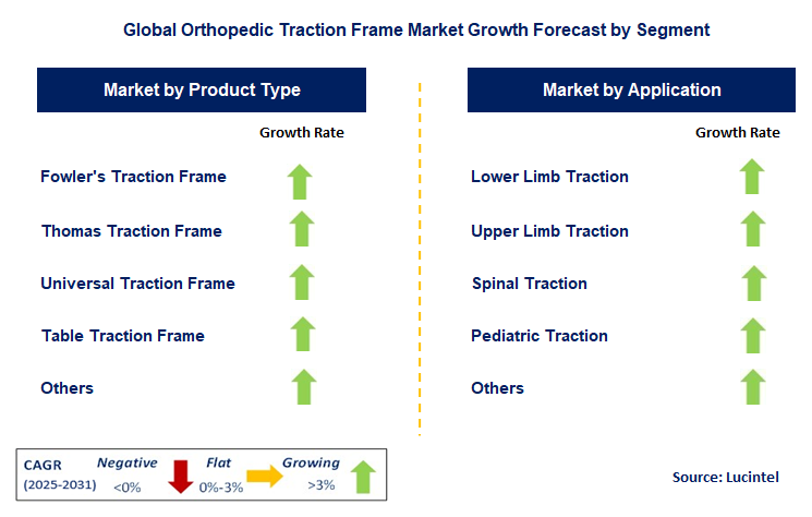 Orthopedic Traction Frame Market by Segment