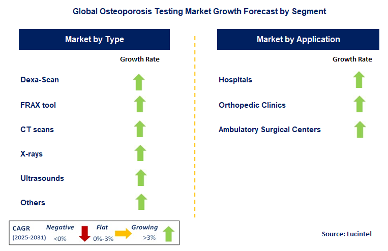 Osteoporosis Testing Market by Segment