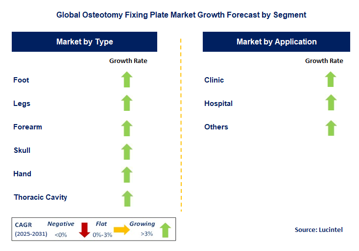 Osteotomy Fixing Plate Market by Segment