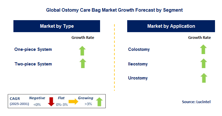 Ostomy Care Bag Market by Segment
