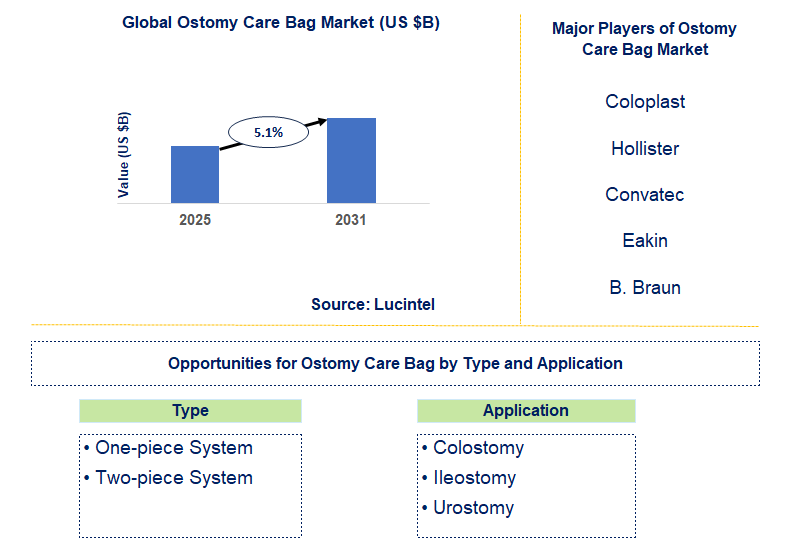 Ostomy Care Bag Market Trends and Forecast