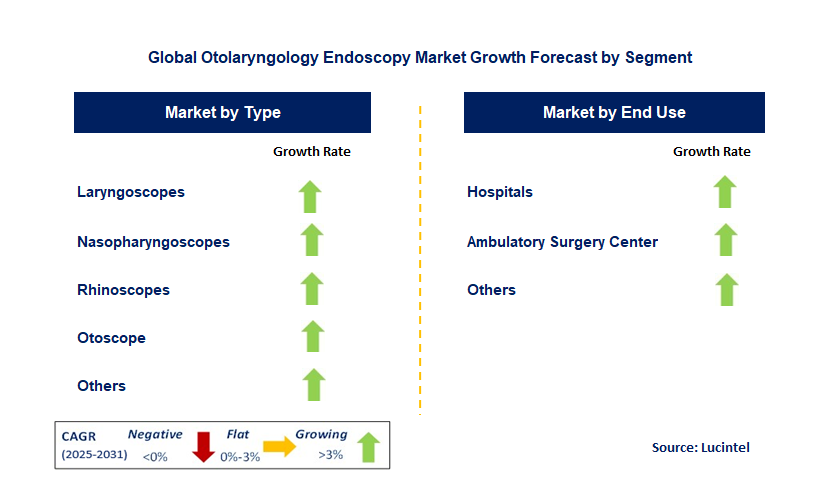 Otolaryngology Endoscopy Market by Segment