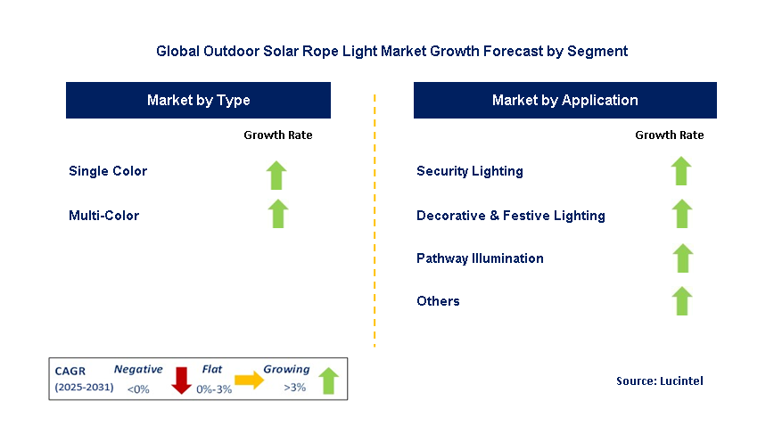 Outdoor Solar Rope Light Market by Segment