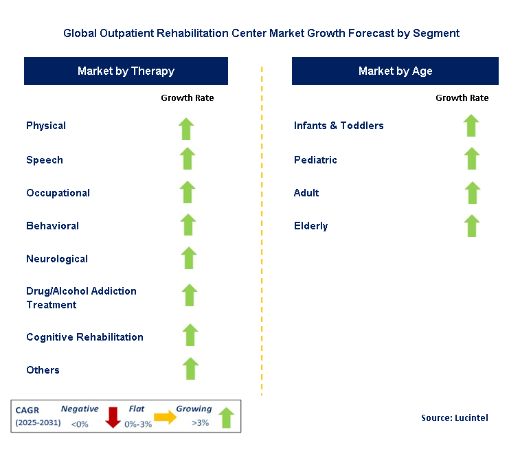 Outpatient Rehabilitation Center Market by Segment
