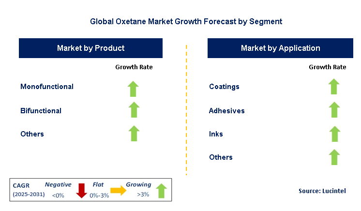 Oxetane Market by Segment