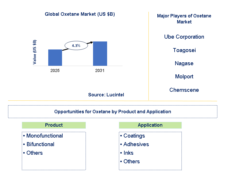 Oxetane Market Trends and Forecast