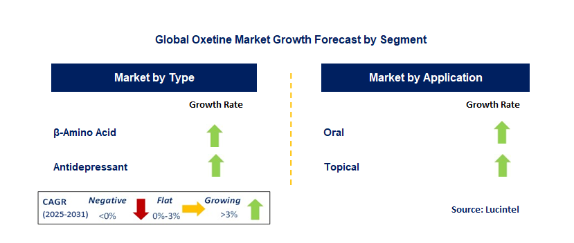 Oxetine Market by Segment