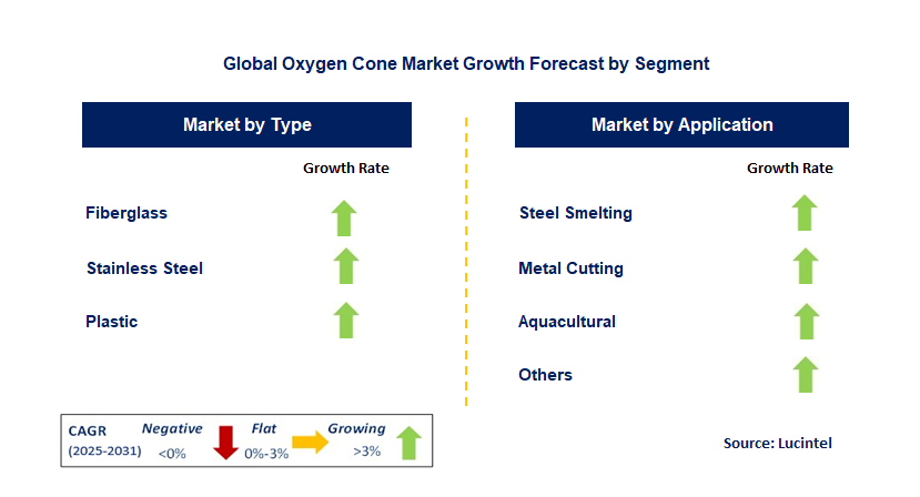 Oxygen Cone Market by Segment