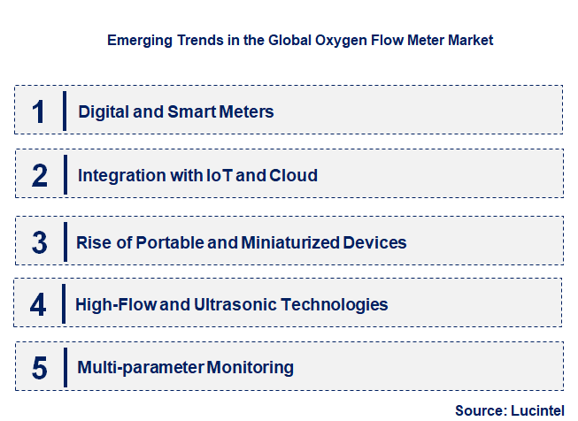 Emerging Trends in the Oxygen Flow Meter Market
