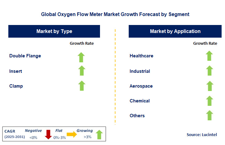Oxygen Flow Meter Market by Segment