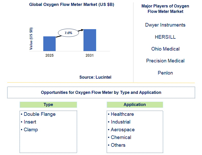 Oxygen Flow Meter Market Trends and Forecast