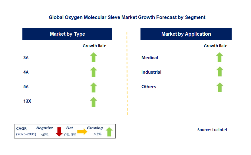 Oxygen Molecular Sieve Market by Segment