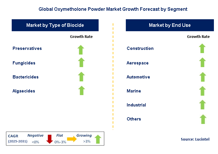 Oxymetholone Powder Market by Segment