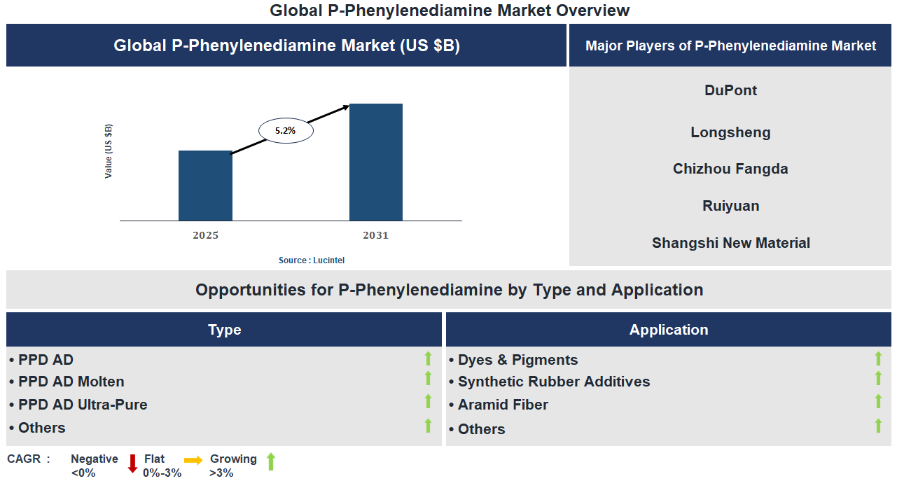 P-Phenylenediamine Market Trends and Forecast