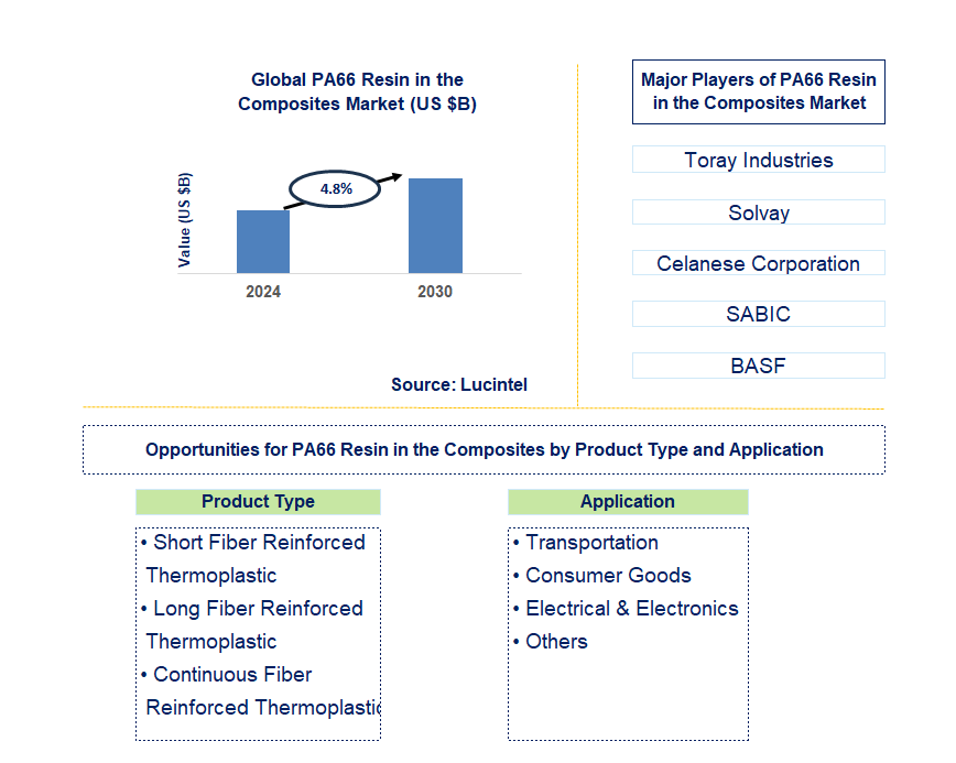 PA66 Resin in the Composites Trends and Forecast