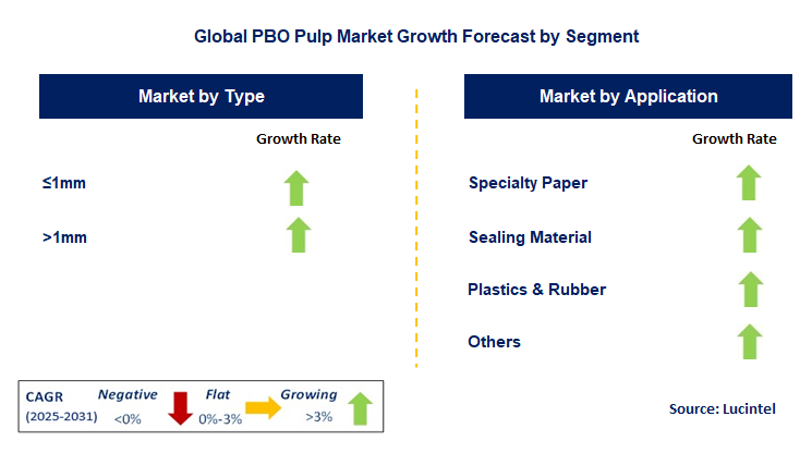 PBO Pulp Market by Segment