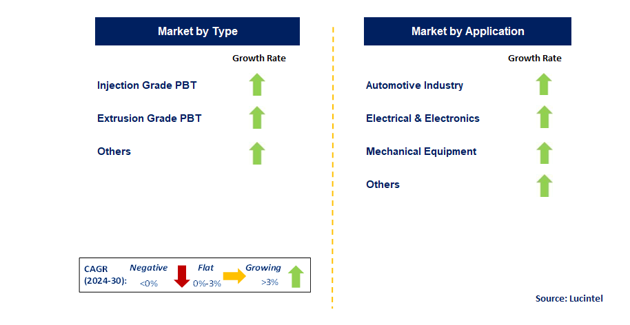 PBT Resin by Segment