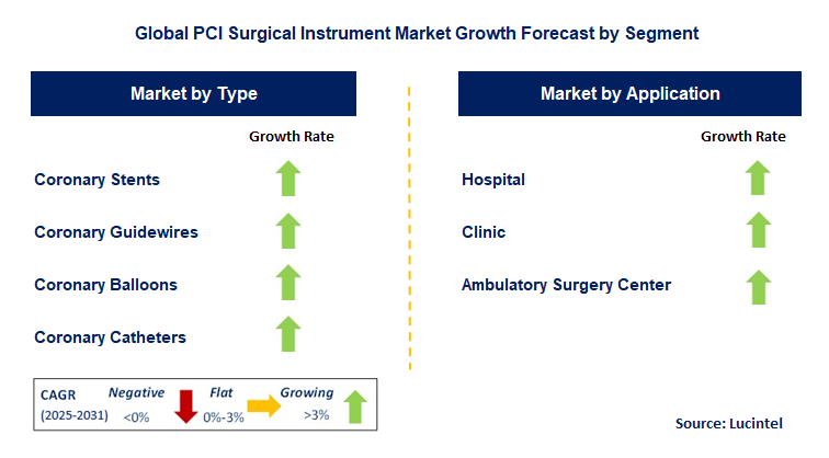 PCI Surgical Instrument Market by Segment