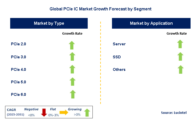 PCIe IC Market by Segment