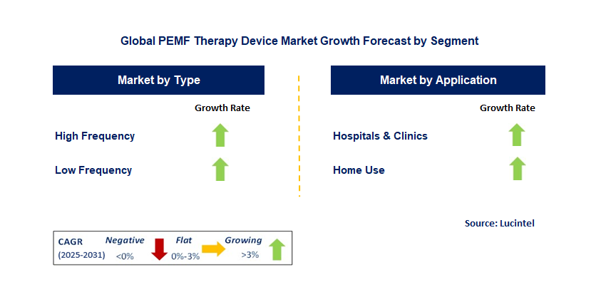 PEMF Therapy Device Market by Segment