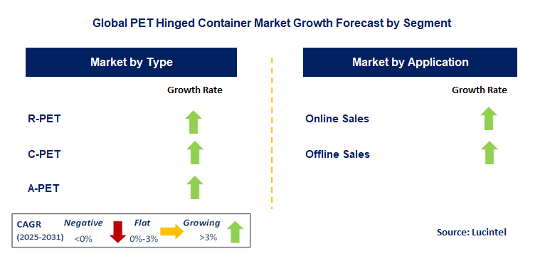PET Hinged Container Market by Segment