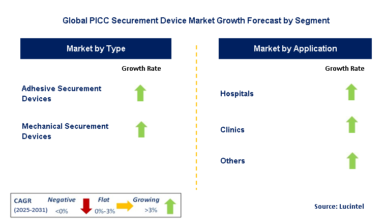 PICC Securement Device Market by Segment