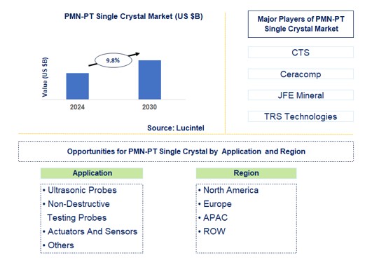 PMN-PT Single Crystal Trends and Forecast