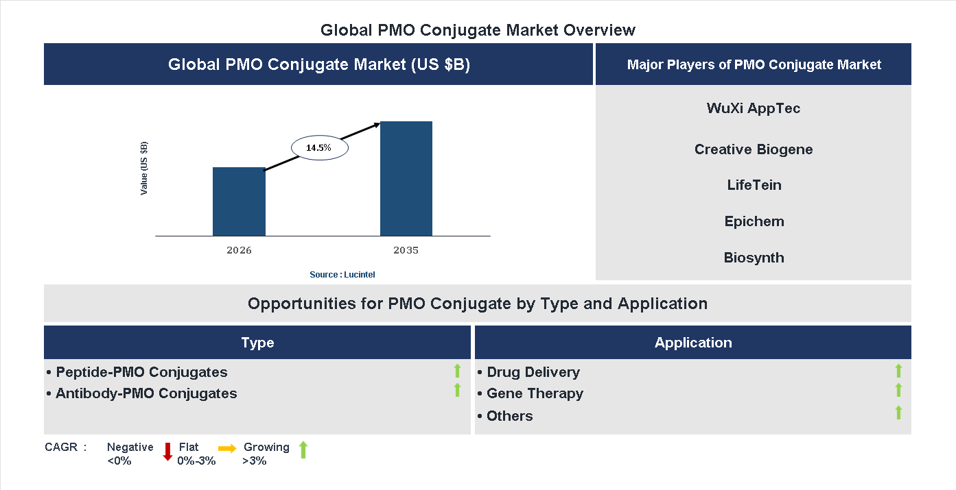 PMO Conjugate Market Trends and Forecast