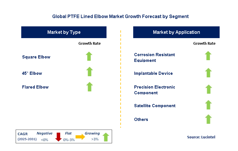 PTFE Lined Elbow Market by Segment